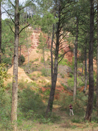 Roussilon - Felsen mit Ockerfarbtönen